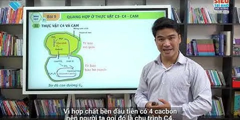 Tại sao quá trình đồng hoá CO2 ở thực vật C3, C4, CAM đều phải trải qua chu trình Canvin
