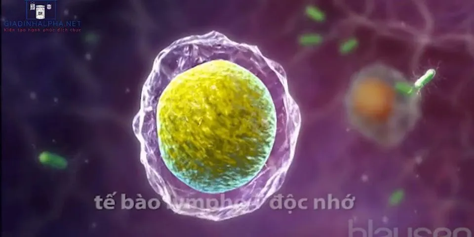 Tế bào lympho B bảo vệ cơ thể bằng cách nào