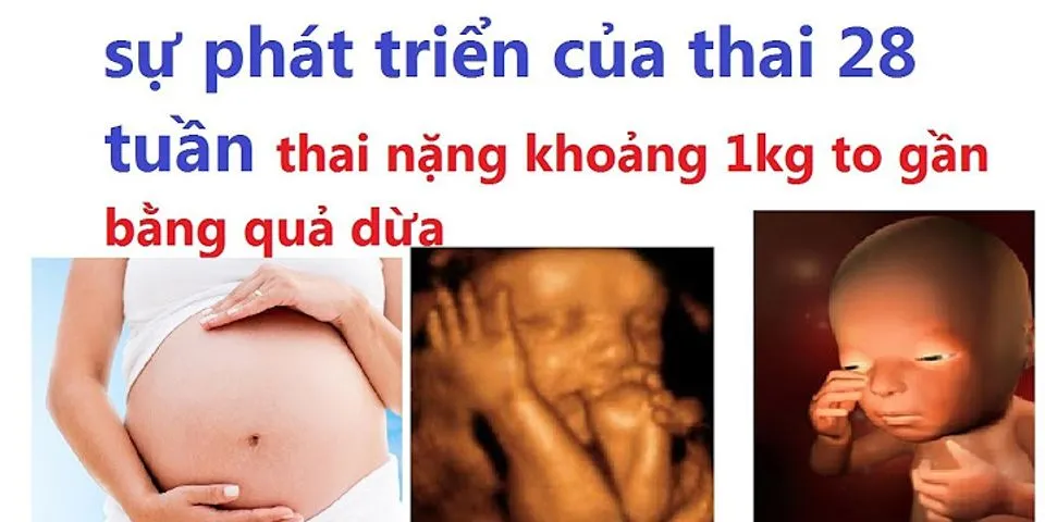Thai nhi 27 tuần nặng bao nhiêu