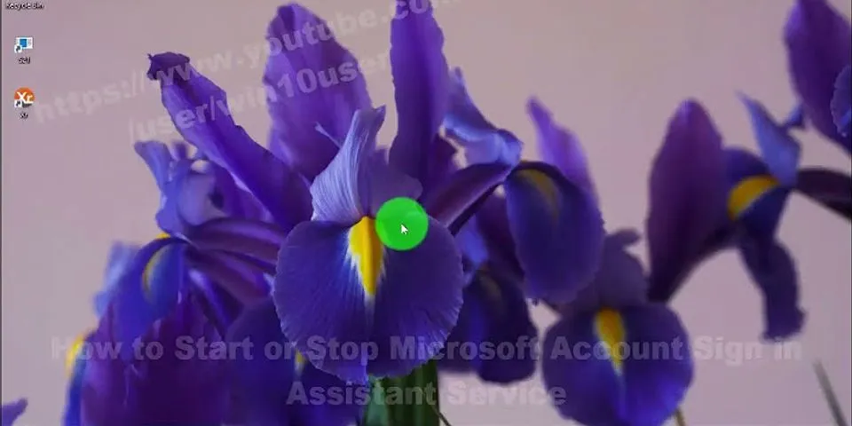 The microsoft account sign-in assistant service entered the stopped state