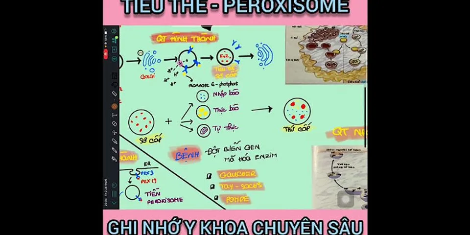 Thực bào và ẩm bào khác nhau như thế nào