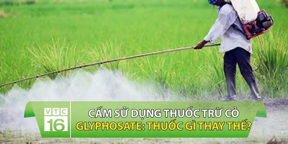 Thuốc thay thế là gì