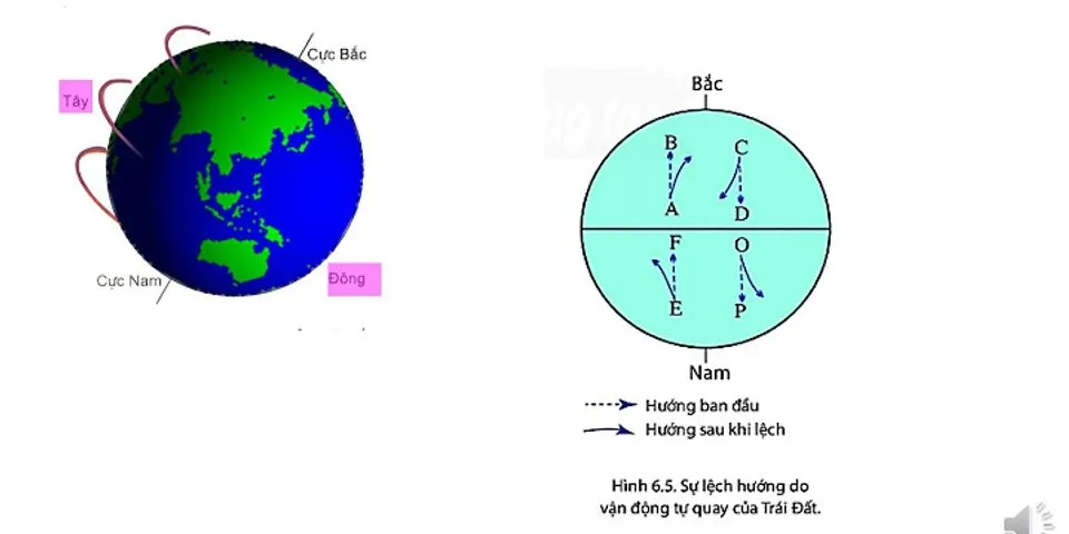 Trên bề mặt Trái Đất người ta chia làm 24 múi giờ và mỗi múi giờ là bao nhiêu độ kinh tuyến