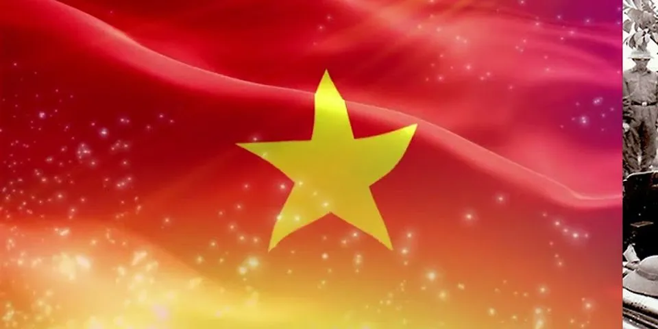 Trình bảy những thắng lợi to lớn của cách mạng Việt Nam dưới sự lãnh đạo của Đảng