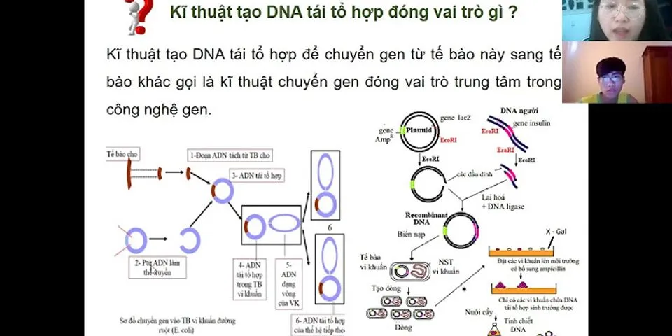 Trong kĩ thuật chuyển gen, có bao nhiêu phát biểu sau đây là đúng về thể truyền plasmit