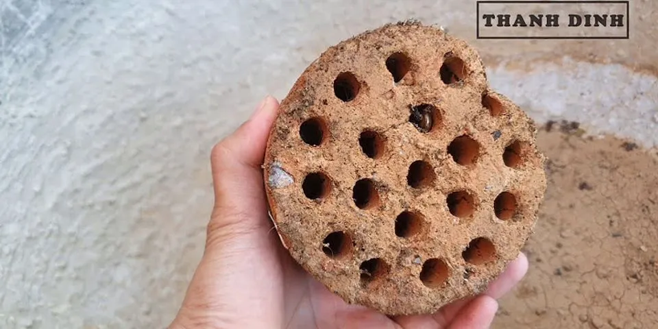 Vì sao tạo các lỗ trong viên than tổ ong