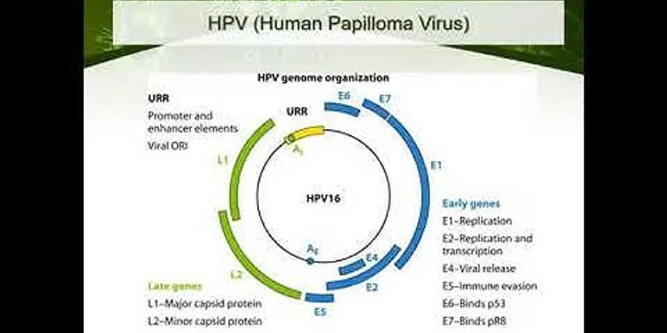 Vì sao virut phải sống kí sinh bắt buộc