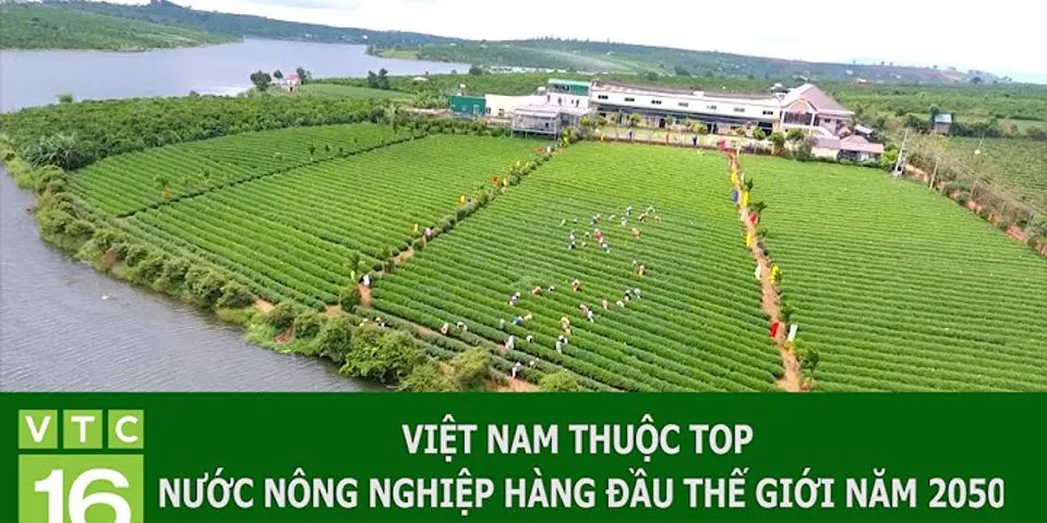 Việt nam đã trở thành nước công nghiệp mới chưa? vì sao