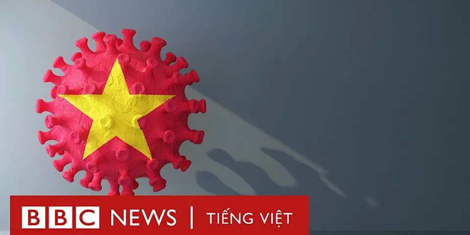 What is this dịch ra tiếng Việt là gì