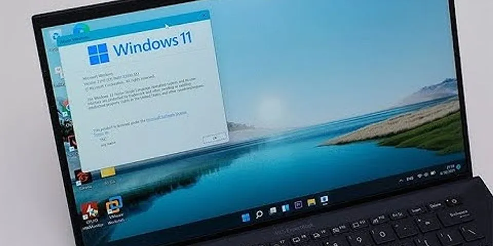 Windows 11 home Insider Preview Single language là gì