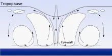 220px Hurricane profile.svg