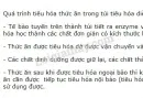 Hãy mô tả quá trình tiêu hóa thức ăn trong túi tiêu hóa. Tại sao trong túi tiêu hóa, thức ăn sau khi được tiêu hóa ngoại bào lại tiếp tục tiêu hóa nội bào?