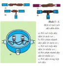 Thực hành bài 5 trang 23 SGK Công Nghệ 9 - Lắp đặt mạng điện trong nhà 