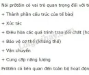 Bài 2 trang 56 SGK Sinh học 9