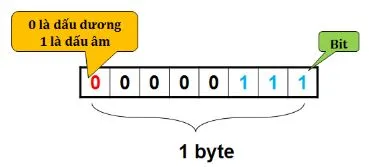 Hình 4. Ví dụ minh họa biểu diễn số nguyên