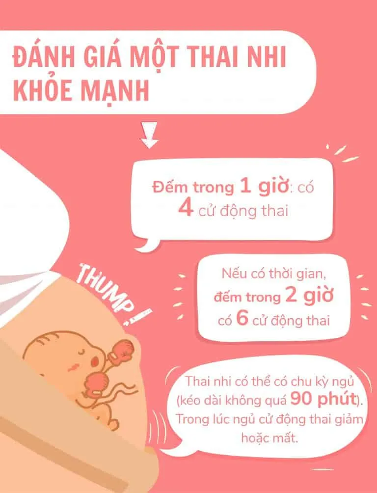 Thai máy là gì? Bao nhiêu tuần thì thai máy? Thai máy ở vị trí nào?