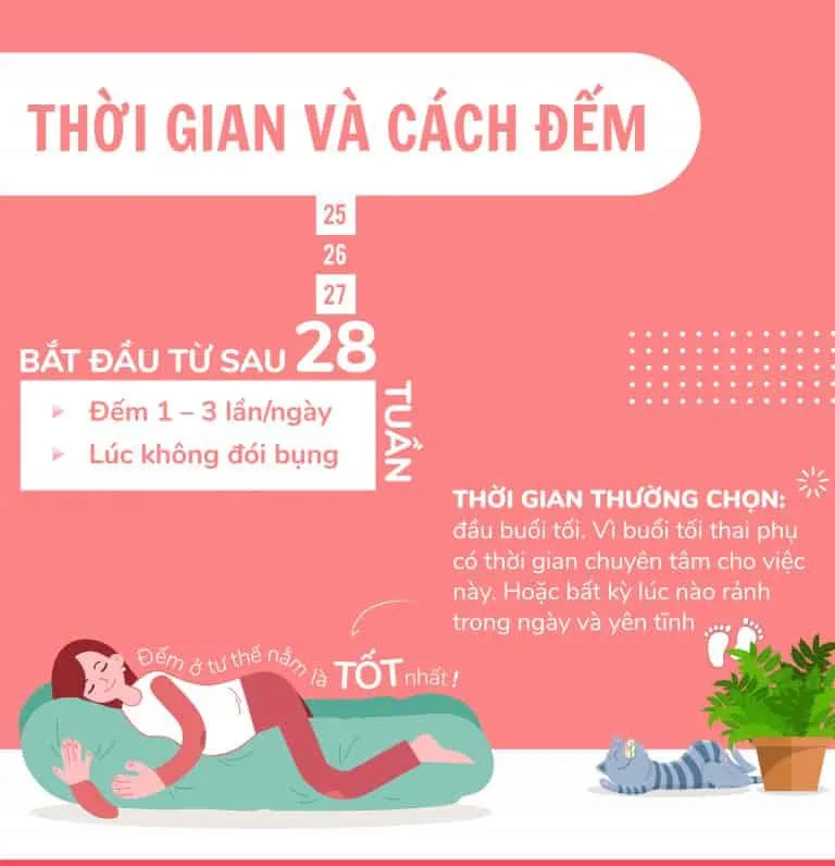 Thai máy là gì? Bao nhiêu tuần thì thai máy? Thai máy ở vị trí nào?