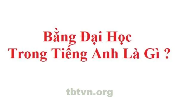 Bằng đại học tiếng Anh là gì