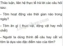 Thảo luận, liên hệ thực tế trả lời các câu hỏi sau: Tôm hoạt động vào thời gian nào trong ngày? Tôm ăn gì ( thực vật, động vật hay mồi chết). Người ta dùng thính để câu hay cất vó tôm là dựa vào đặc điểm nào của tôm?