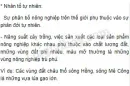 Em hãy nêu ví dụ để chứng minh ảnh hưởng của các nhân tố trên sơ đồ (trang 105 SGK Địa lí 10) đối với phân bố nông nghiệp?