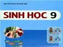 Đột biến cấu trúc nhiễm sắc thể là gì ?