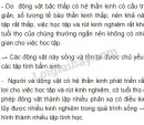 Dựa vào mức độ tiến hóa của hệ thần kinh và tuổi thọ của động vật, hãy trả lời các câu hỏi sau